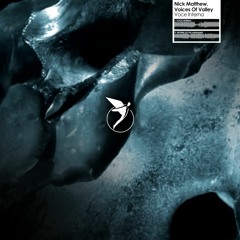 Nick Matthew, Voices Of Valley - Voce Interna (Original Mix)