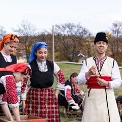 Сойка птица / Soyka ptica