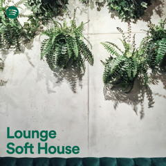 Lounge - Soft House