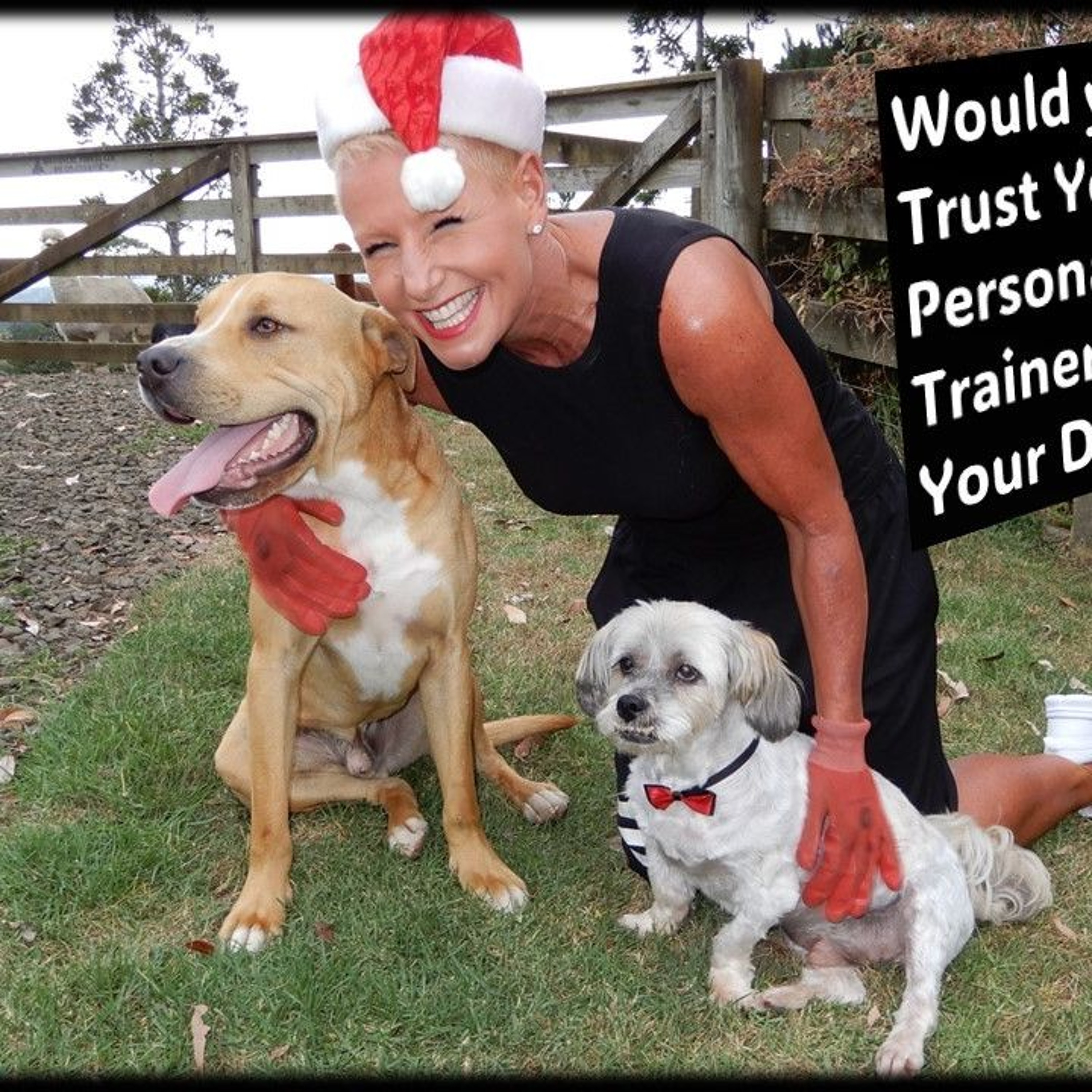 Do Personal Trainers Care More About Their Body Or Yours ...with Rowie McEvoy
