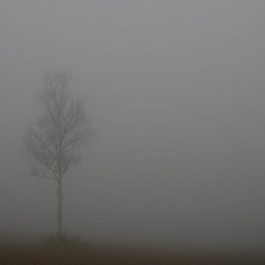 Impressions(music by John Coltrane)