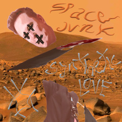 SPACE JUNK
