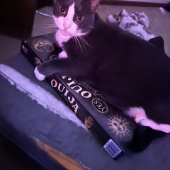 end of love (prod katai)