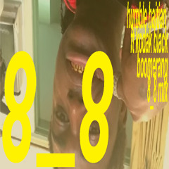 Bo_omerang ⚠️(Fast and Slow)