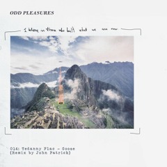 PREMIERE: Tedanny Flac - Goose [ODP014]