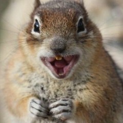 Then Omaha - Squirrel in the Mailbox - Demo - 1987