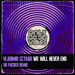 Vladimir Cetkar - We Will Never End (Dr Packer Remix)