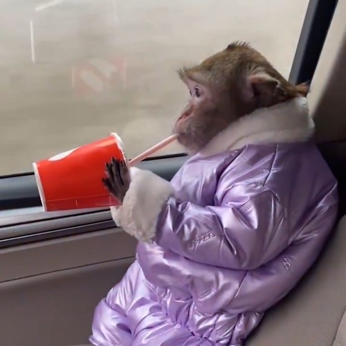 Live from the Boiler Room VII