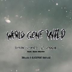 Robin Schulz - World Gone Wild ( Willerz & BLVCKPRINT bootleg )