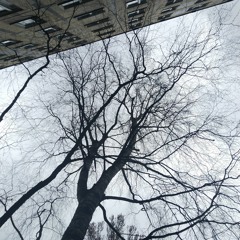 Вот и всё, мой друг...