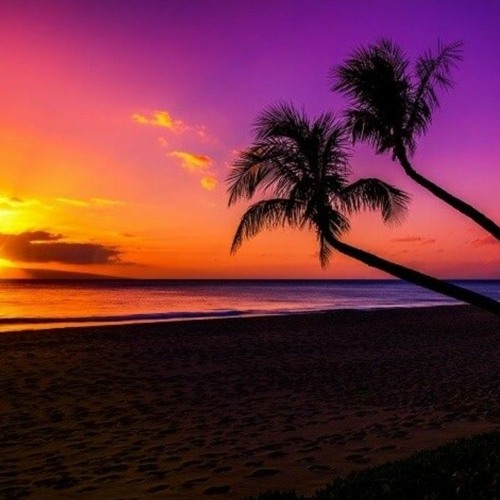 Stream Beach by SCHABTECH | Listen online for free on SoundCloud