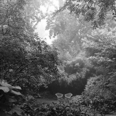 why cant prod @omgwikee @mlodyhubson