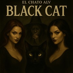 GATO NEGRO - 11:5:25, 11.09 PM