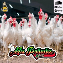 DJ JADIX - MIX POLLADIX VOL. 04