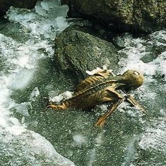 Bones frozen in ice.wav