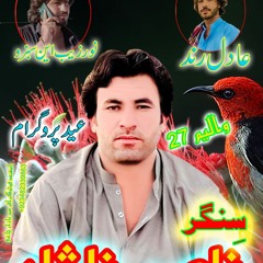 Nasir Nashad, ida ne brasi