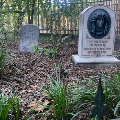 They Done Let the ZB’s Through the Door (Fast)