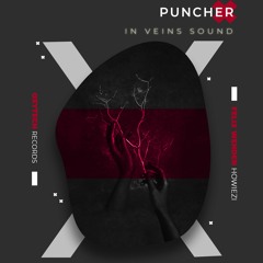 Puncher - In Veins Sound (Felix Wehden Remix)