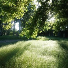 #Pandoras Box Clips 2025