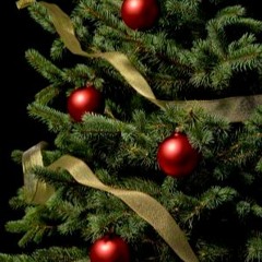 Christmas Meditations 01 Mattoe's Christmas Meditations Matteo