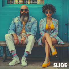 The Polish Ambassador - Slide