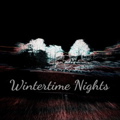 Wintertime Nights