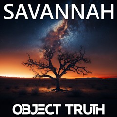 Object Truth - Savannah