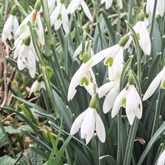 from winter to spring.