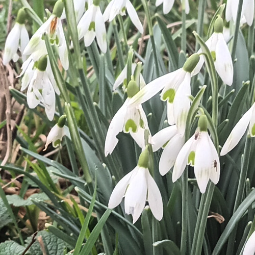 from winter to spring.