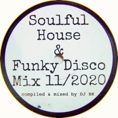 Soulful House & Funky Disco Mix 11/2020