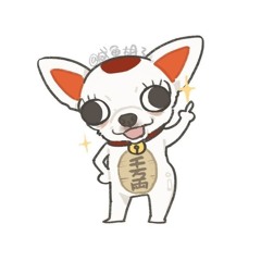 ДАНДАДАН - ВИСТУП ХАЯШI DANDADAN - HAYASHI PERFORMANCE