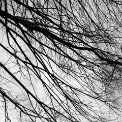 how are you? what are you doing right now? /// silence