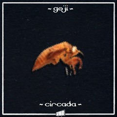 Goji - Circada