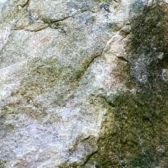 Other Selves (disquiet0500)