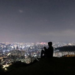 The Moon Represents My Heart (月亮代表我的心)