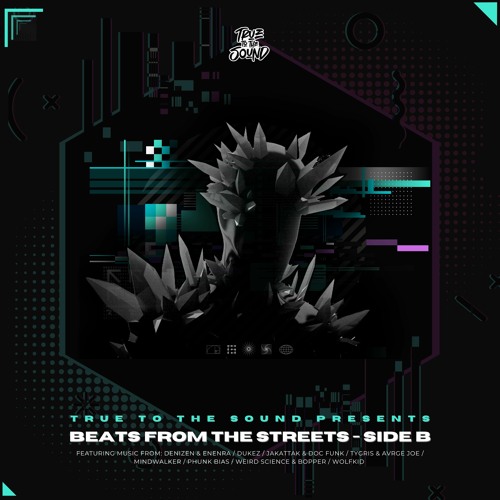 True To The Sound Presents: Beats From The Streets - Side B