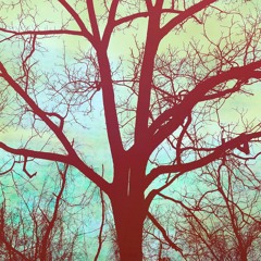 Sounds from Friday evening pt. IV