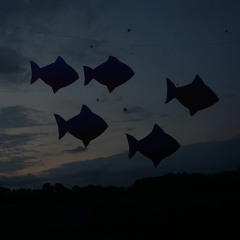 The Greater Groovecast / 002 / Celebrate Us