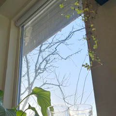 words w/ loowq + ego