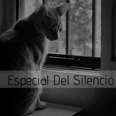ESPECIAL SONORO ¿DEL SILENCIO?