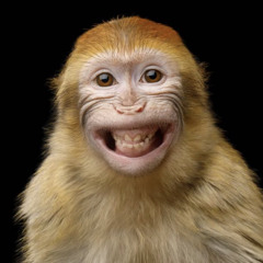 [GILANG MIX] MIXTAPE DEGA PEDDI PADA PADA IYE #Req Awal CND X Wawan CND.WAV