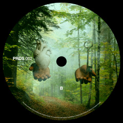 Premiere: B1 - Edo Ecker - Anymore [PRDS002]