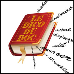 Semaine 11 le dico du doc