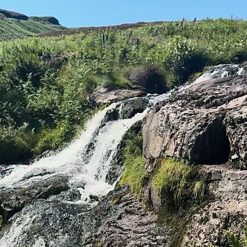 Awzpici0us Flow (Ryan Best Remix)