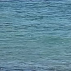 כחול ירוק מנצנץ