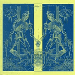 hk_tradacoustic_415