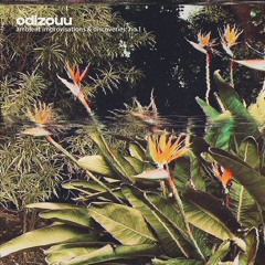 ambient improvisations & discoveries: no1