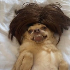 F*ck it (I Don't Want You Back) (Eamon cover)