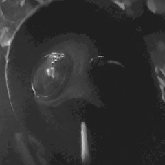 IBIS TAPE VOL 1 FREESTYLE  .wav