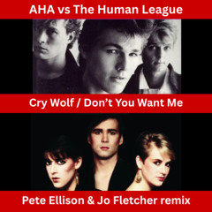 AHA vs The Human League - Cry Wolf / Don't You Want Me (Pete Ellison & Jo Fletcher remix)